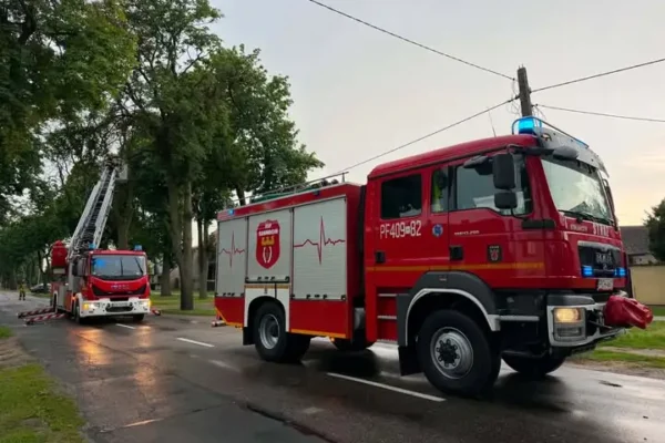 Konar zwisający nad drogą w Szamocinie – interwencja strażaków