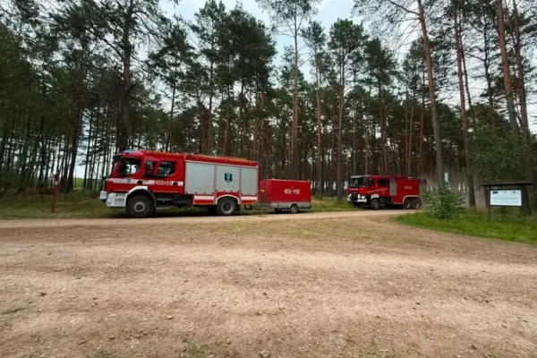 Strażacy ćwiczyli gaszenie pożarów lasów w Nadleśnictwie Sarbia