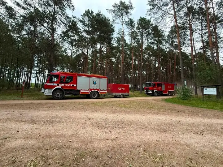 Strażacy ćwiczyli gaszenie pożarów lasów w Nadleśnictwie Sarbia