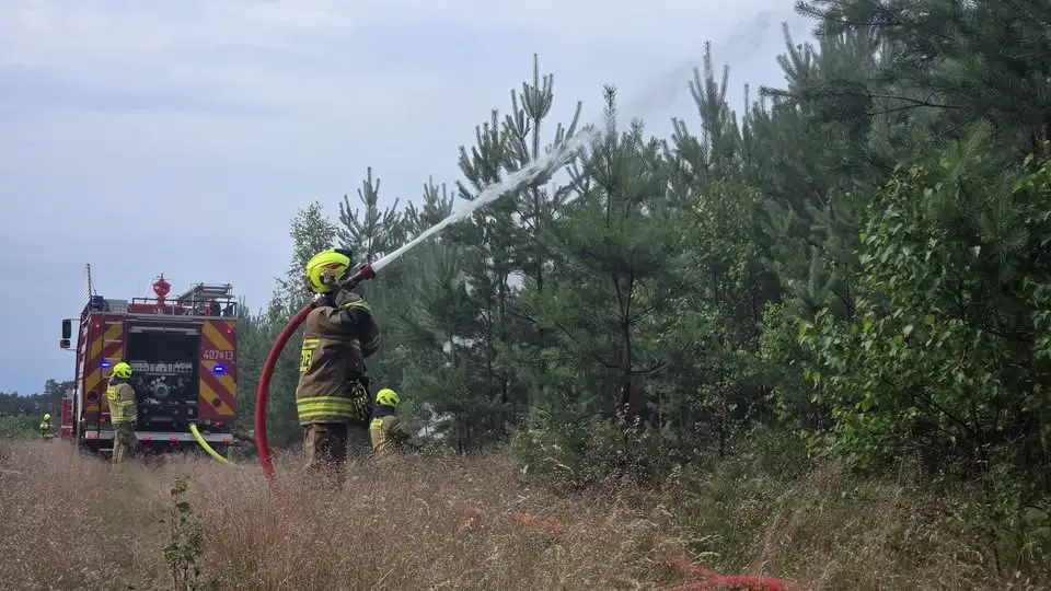 Strażacy ćwiczyli gaszenie pożarów lasów w Nadleśnictwie Sarbia