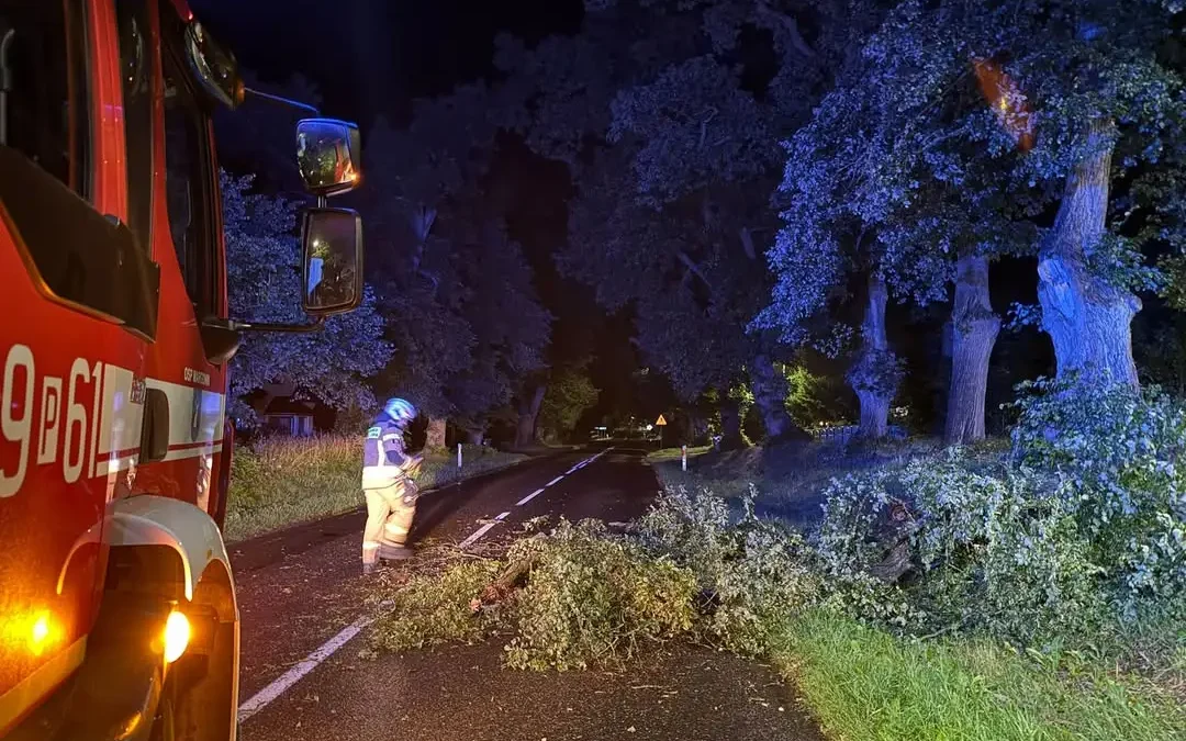 Konar drzewa na drodze w Margoninie – interwencja OSP
