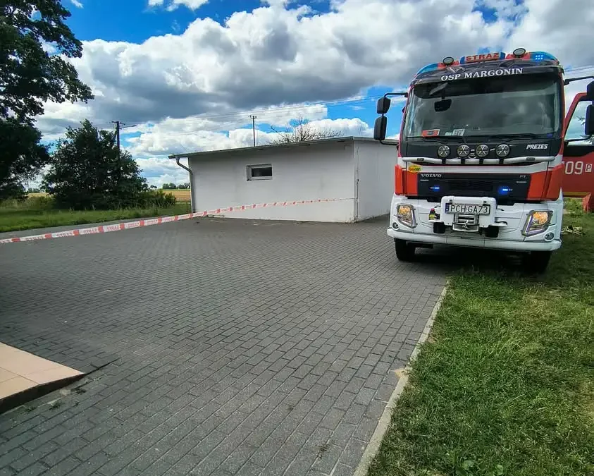 OSP Margonin usuwa niebezpieczne gniazdo owadów w Lipińcu