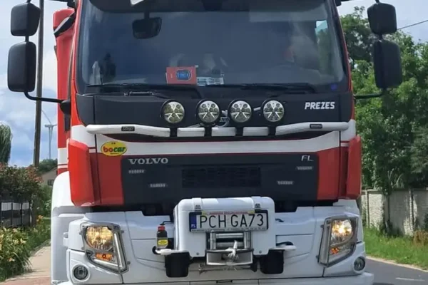 OSP Kowalewo usuwa niebezpieczne gniazdo owadów błonkoskrzydłych