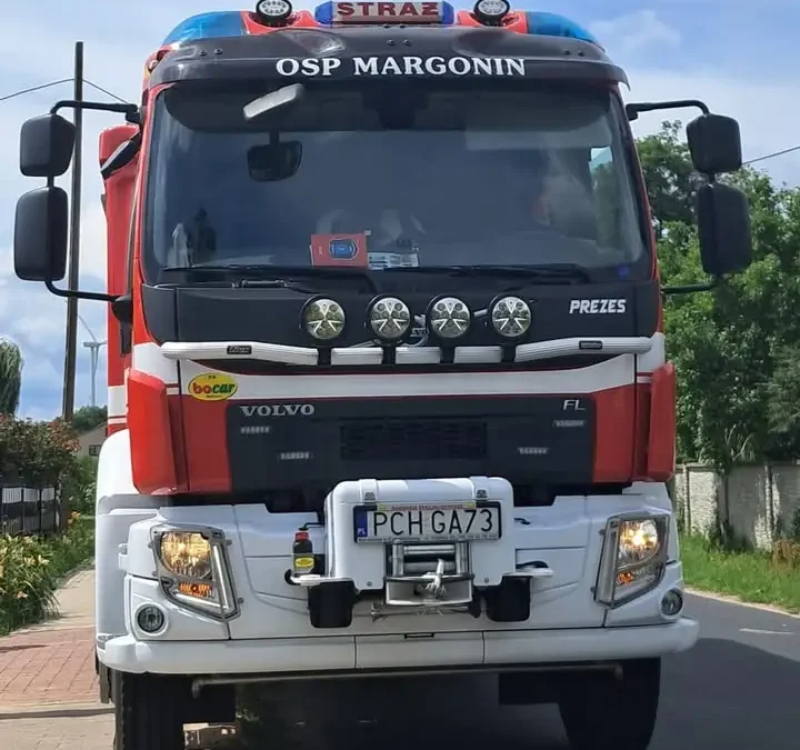 OSP Kowalewo usuwa niebezpieczne gniazdo owadów błonkoskrzydłych