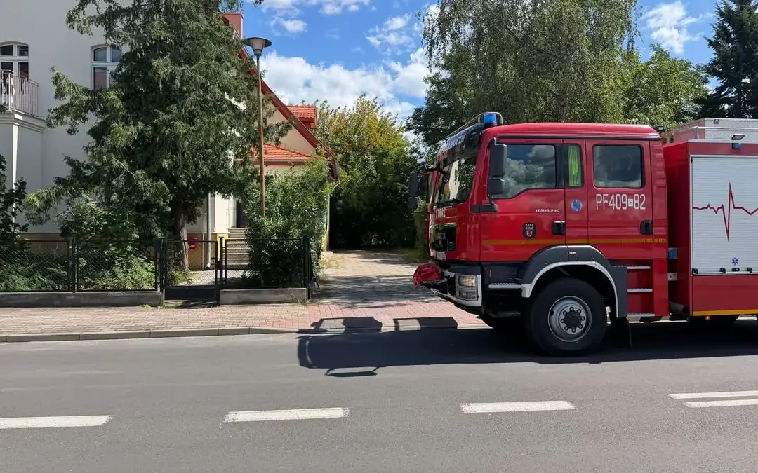 Interwencja OSP Szamocin: usuwanie gniazda os na ul. Szkolnej