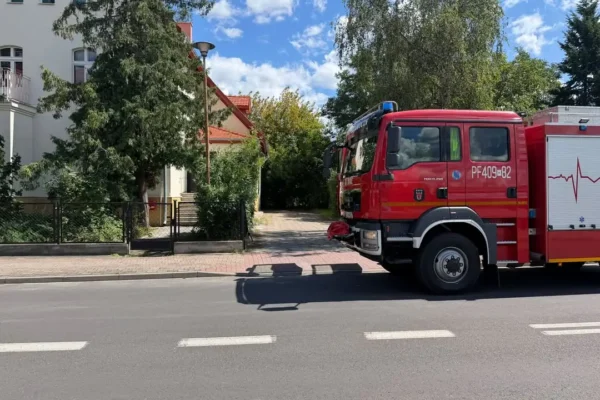 Interwencja OSP Szamocin: usuwanie gniazda os na ul. Szkolnej