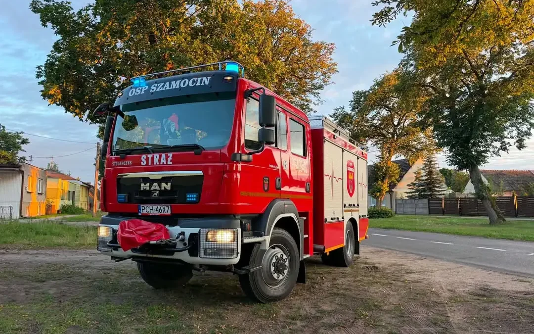 Strażacy z OSP Szamocin usuwali gniazdo owadów błonkoskrzydłych