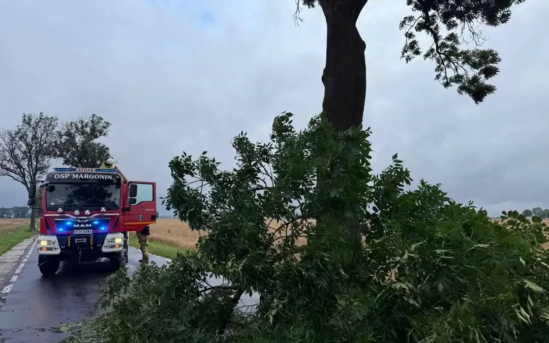 Strażacy z OSP Margonin usuwali konar drzewa z drogi w Lipinach
