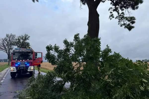Strażacy z OSP Margonin usuwali konar drzewa z drogi w Lipinach