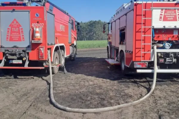 Pożar ścierniska i nasypu kolejowego przy DK11 – interwencja strażaków