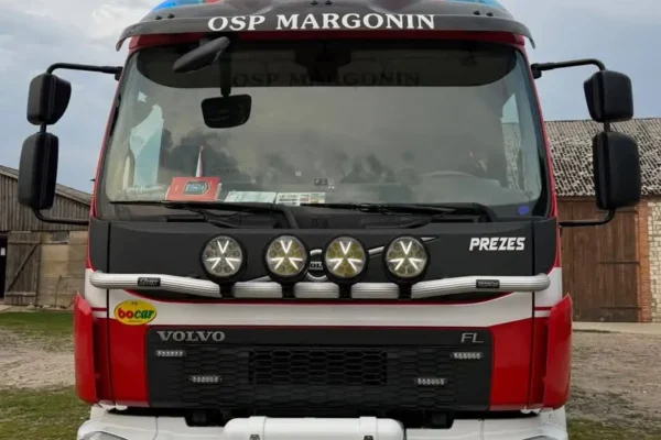 Interwencja strażaków w Zbyszewicach: usuwanie gniazda owadów błonkoskrzydłych