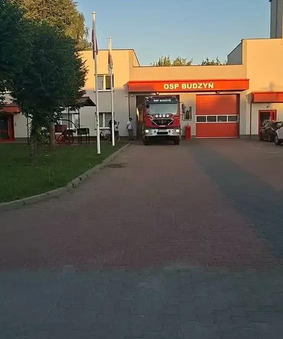 OSP Budzyń usuwa zagrażające gniazdo owadów w Dziewokluczu