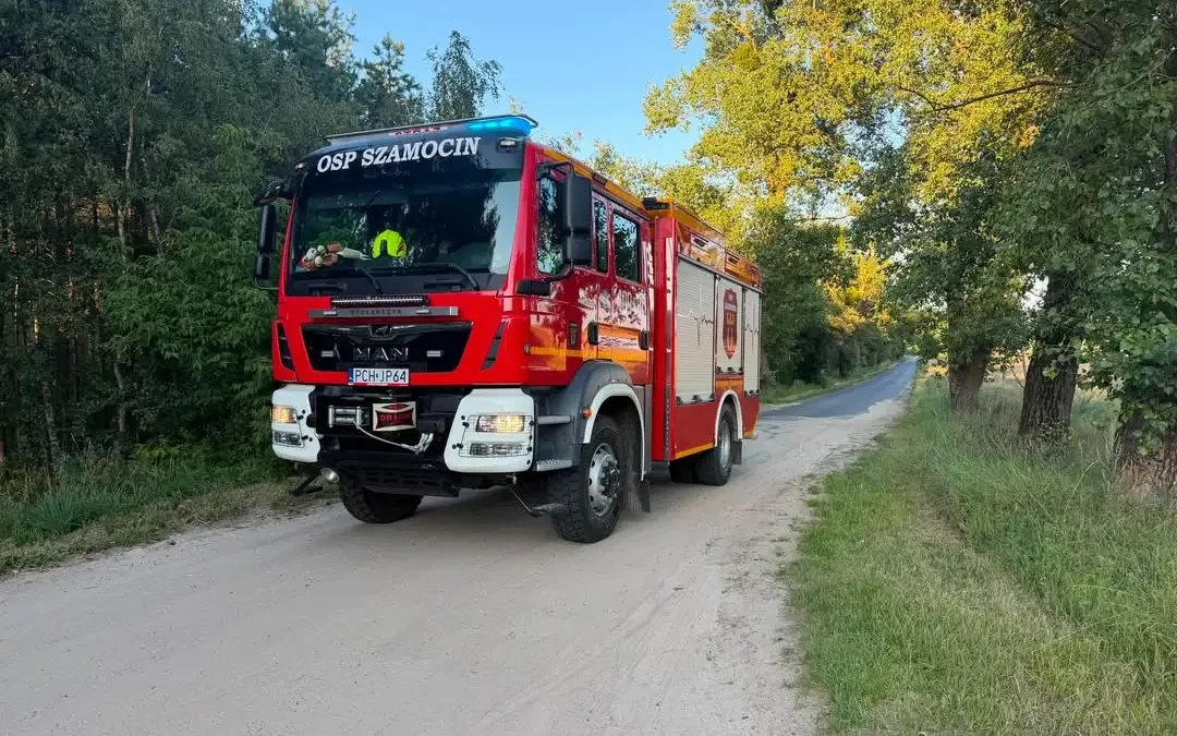Fałszywy alarm o pożarze lasu w Zacharzynie – interweniowały trzy zastępy straży