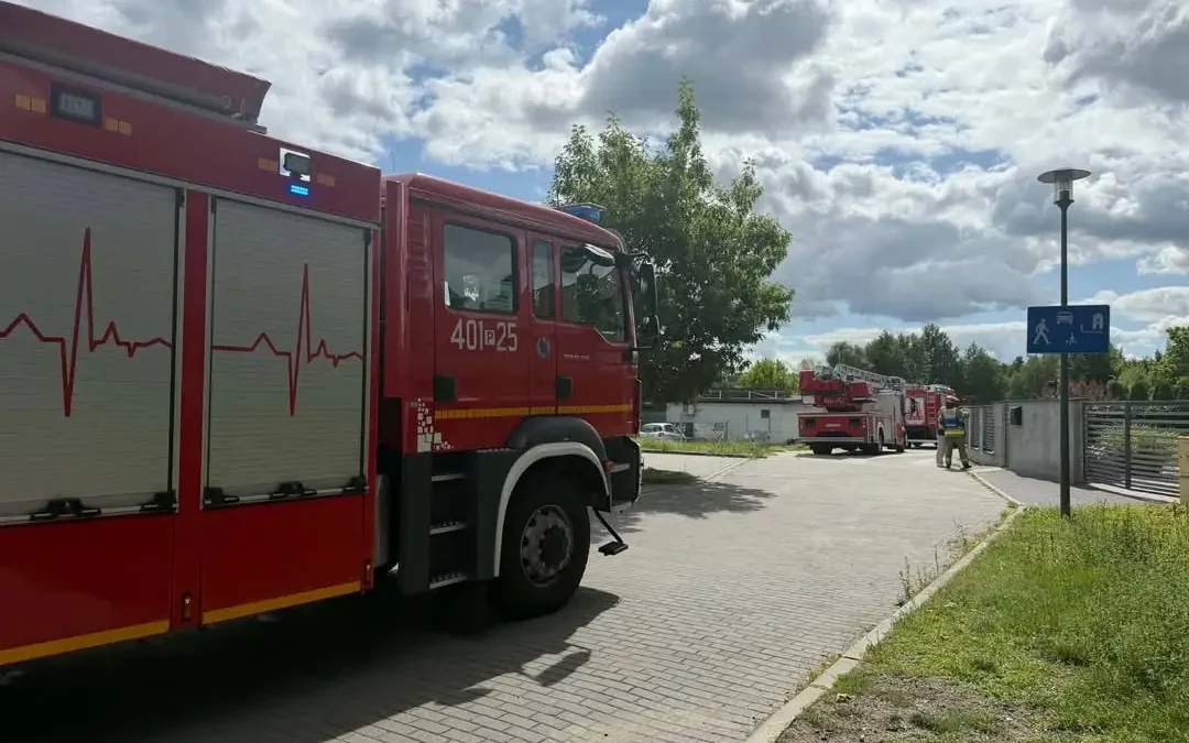 Pożar żywopłotu w Chodzieży – szybka akcja strażaków zapobiegła tragedii