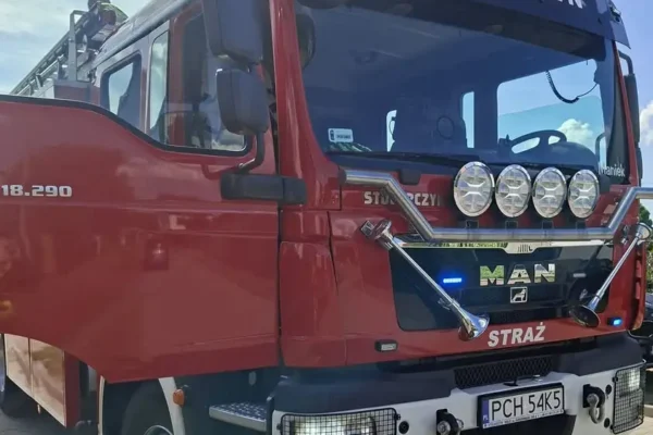 Interwencja OSP Budzyń: usunięto niebezpieczne gniazdo owadów na os. Zielone