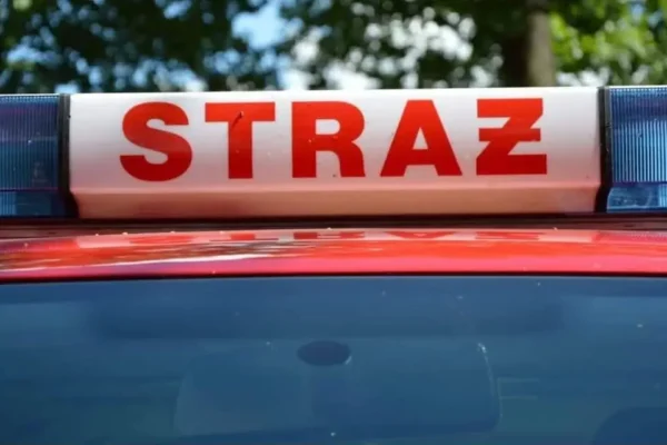 Konar drzewa na drodze w Próchnowie – interwencja strażaków