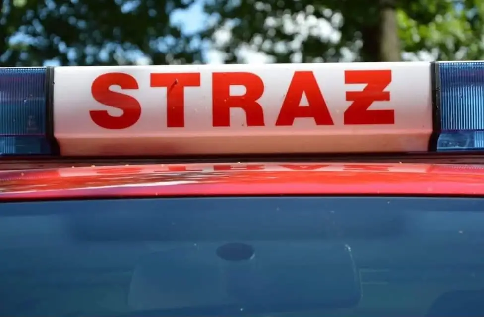 Konar drzewa na drodze w Próchnowie – interwencja strażaków