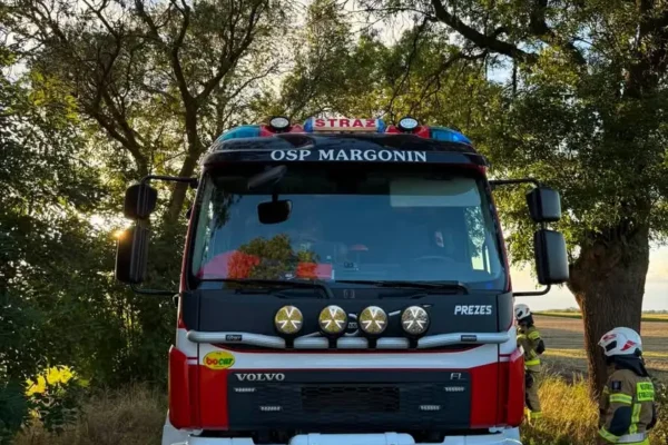 Powalone drzewo na drodze Margonin-Kowalewo – interwencja OSP Margonin