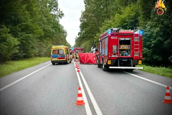 Tragiczny wypadek na DK 11 w Kąkolewicach. Nie żyje jedna osoba