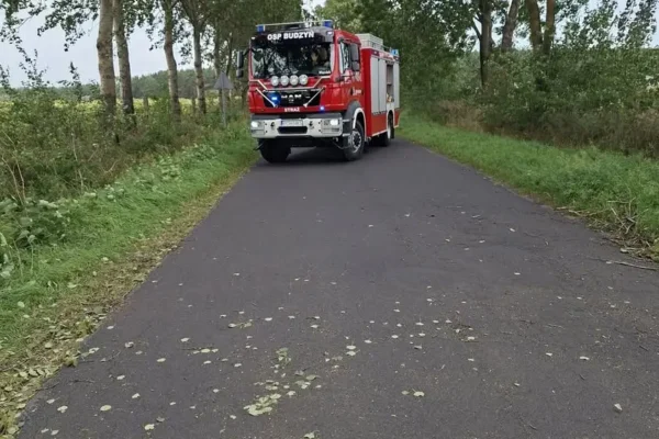 Powalone drzewo na drodze w Brzekińcu – interwencja strażaków