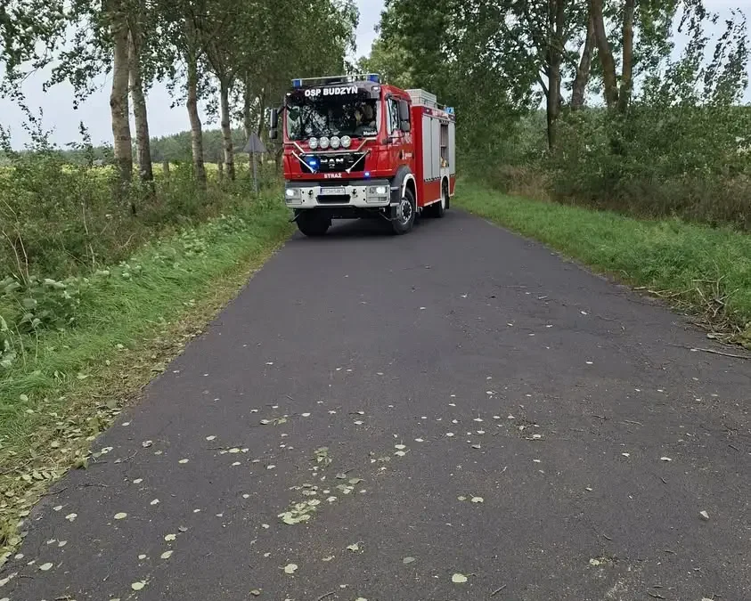 Powalone drzewo na drodze w Brzekińcu – interwencja strażaków