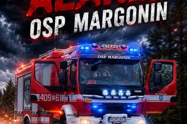 Alarm w Radwankach: Strażacy usuwają gniazdo owadów w budynku publicznym
