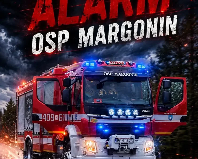 Alarm w Radwankach: Strażacy usuwają gniazdo owadów w budynku publicznym