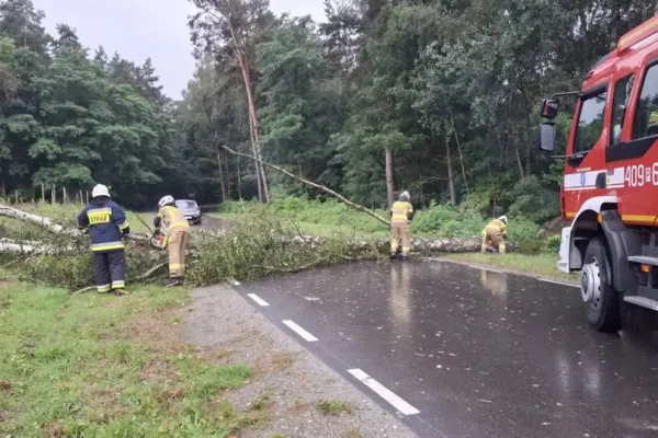 Dwa powalone drzewa na drogach w powiecie – interwencje strażaków