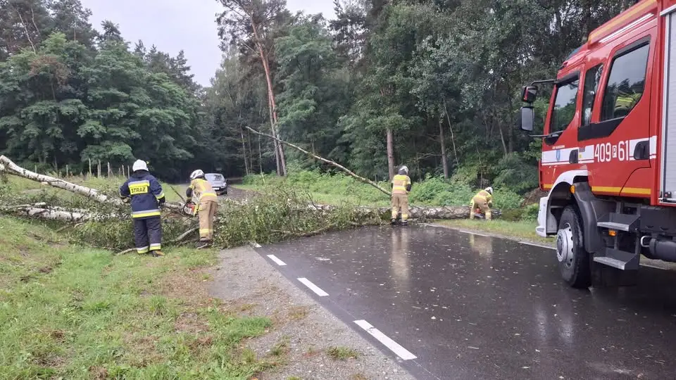 Dwa powalone drzewa na drogach w powiecie – interwencje strażaków