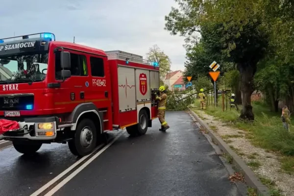 Interwencja OSP Szamocin: drzewo pochylone nad drogą na ul. Dworcowej