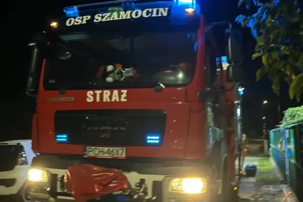 Interwencja OSP Szamocin w Józefowicach – usuwanie gniazda owadów