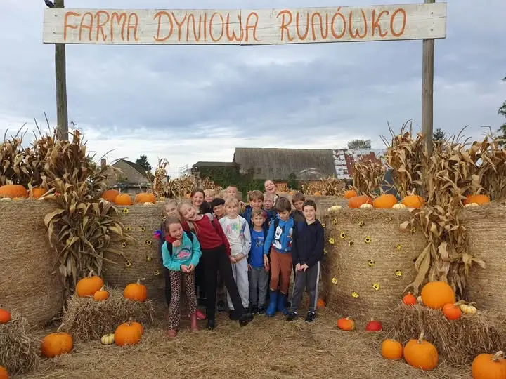 Klasa 3d na farmie dyniowej w Runówku – edukacja przez doświadczenie