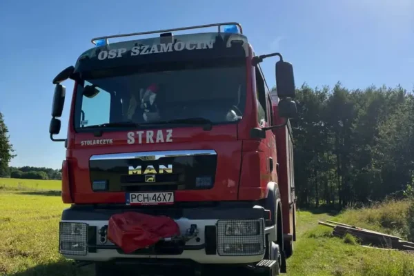 Interwencja OSP Szamocin: usuwanie gniazda owadów błonkoskrzydłych w Lipiej Górze