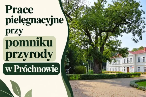 Jesion w Próchnowie przejdzie pielęgnację po sierpniowej burzy