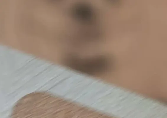 Zmiana realizatora specjalistycznych usług opiekuńczych w gminie